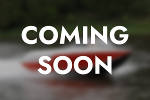 Liberator Teaser